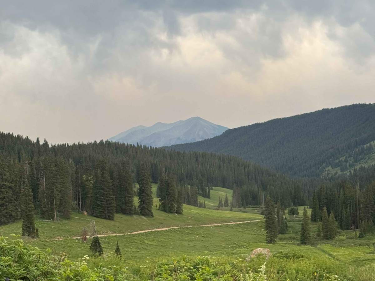 Washington Gulch Road photo 4
