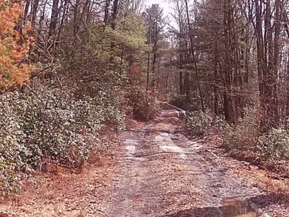 Zimmerman Road photo 2