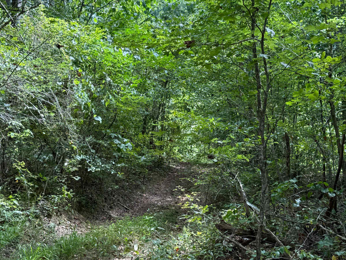 Cell Tower Dead End trail photo