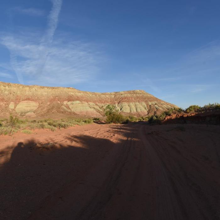 Near Klondike Bluff Dinosaur Tracks