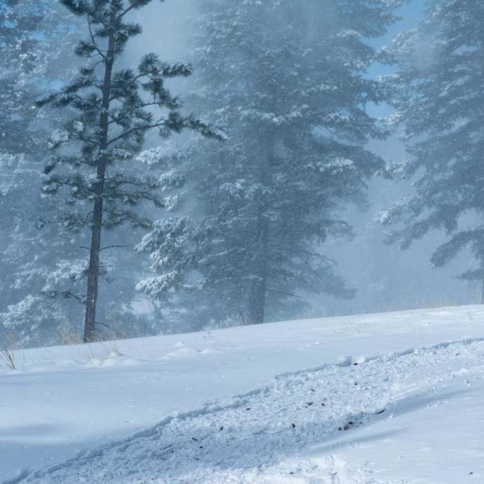 Near Staunton Rocks Overlook