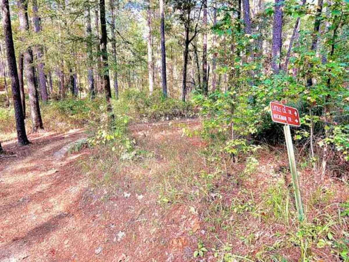 Livingston Trail photo 5
