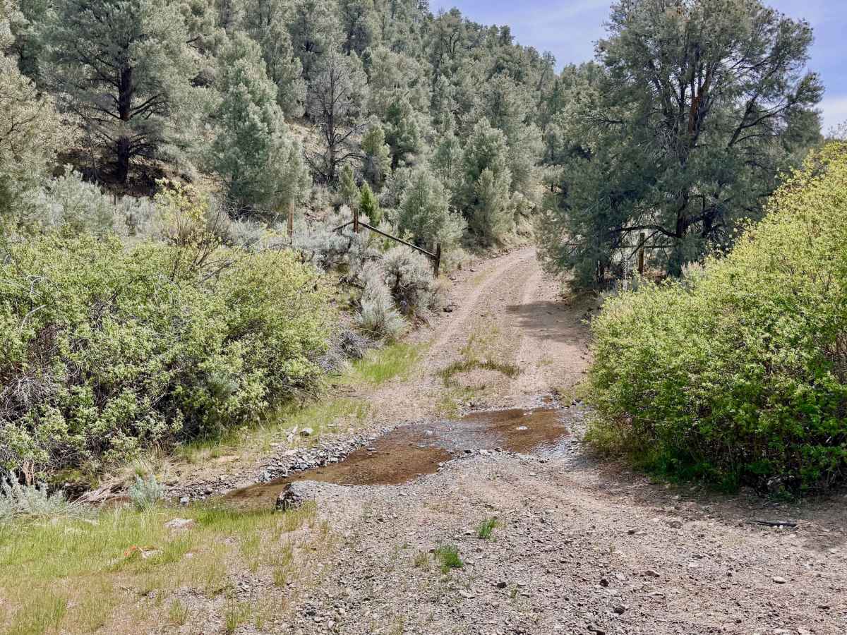 Dry Canyon Alternate - FS 43231 photo 2