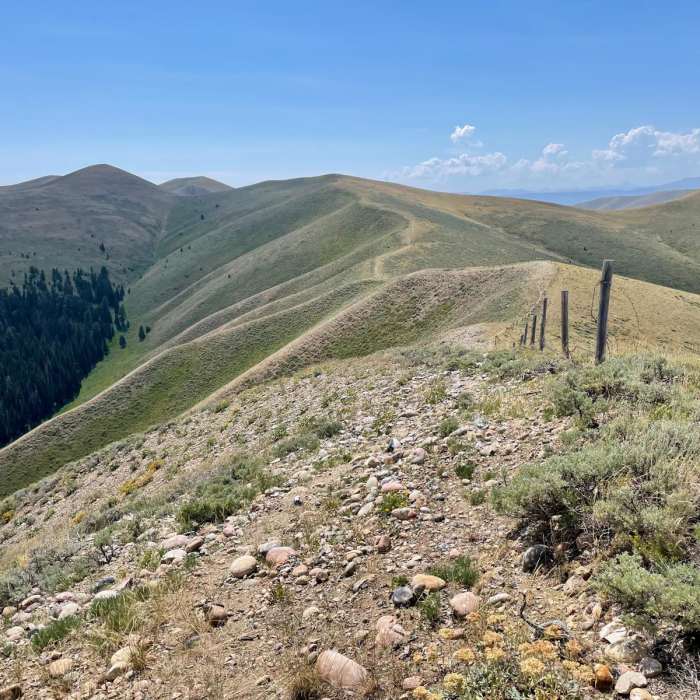 Near Continental Divide Trail: Montana-Idaho Section 5