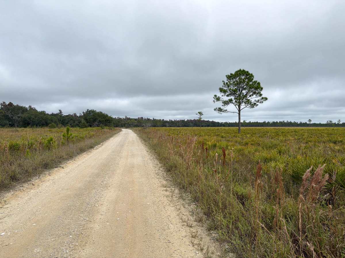 Road 19 - Three Lakes WMA photo 3