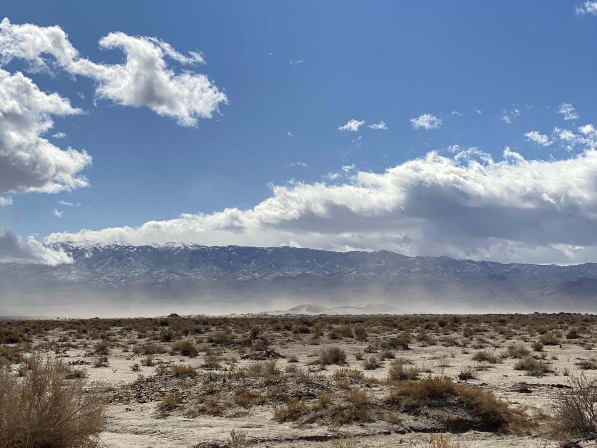 Coyote Rd. photo 6