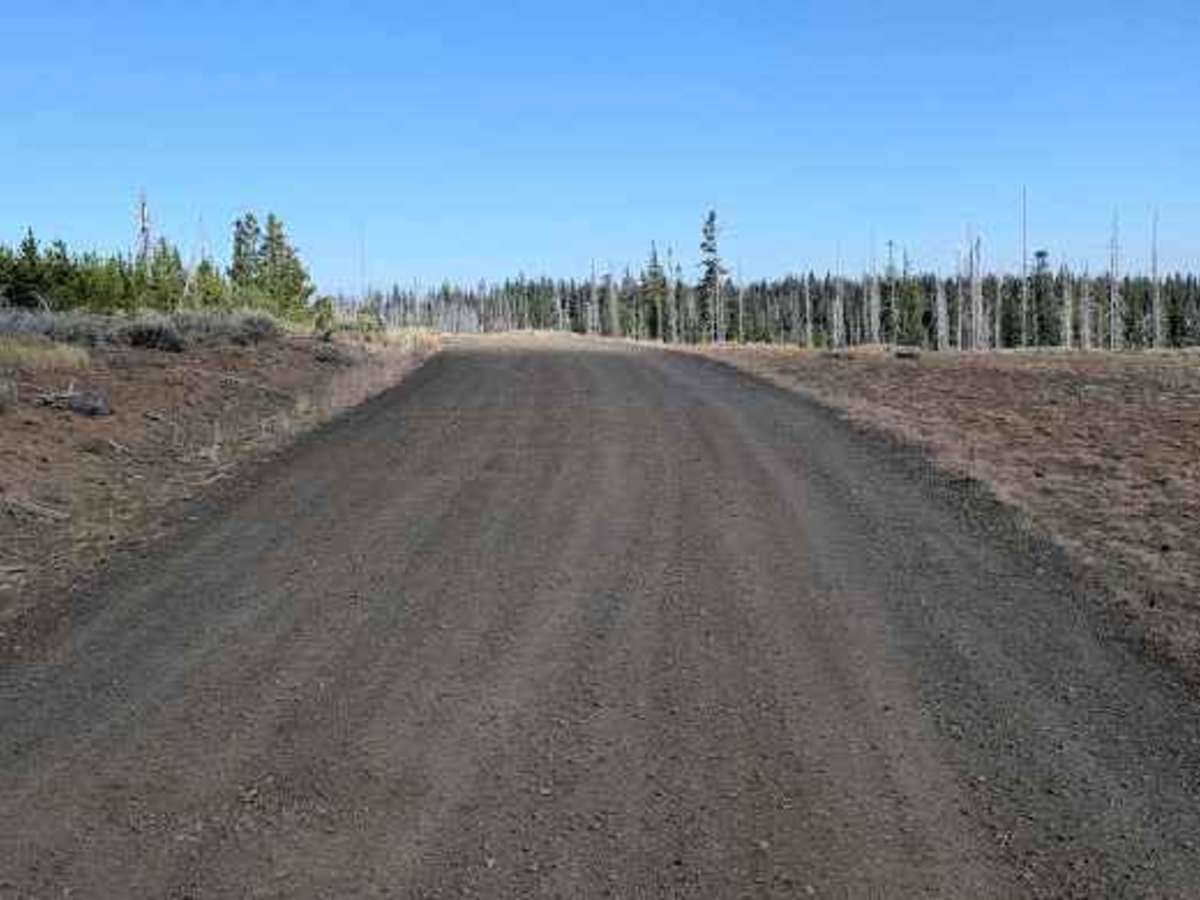 Wilson Creek Road - FS 3517 photo 3