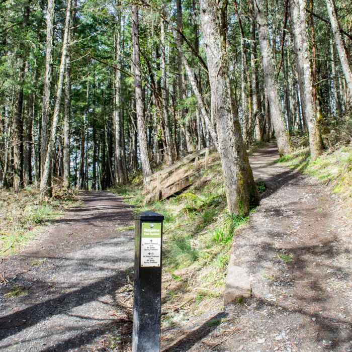 Near Ridgeline Trail System: Fox Hollow Trailhead