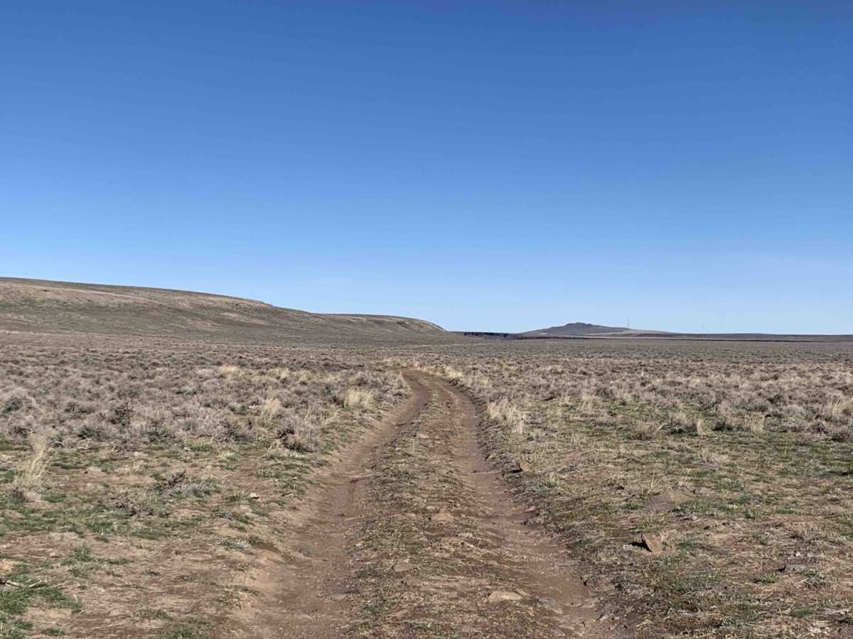 Antelope Bay Loop and Lucas Point photo 4