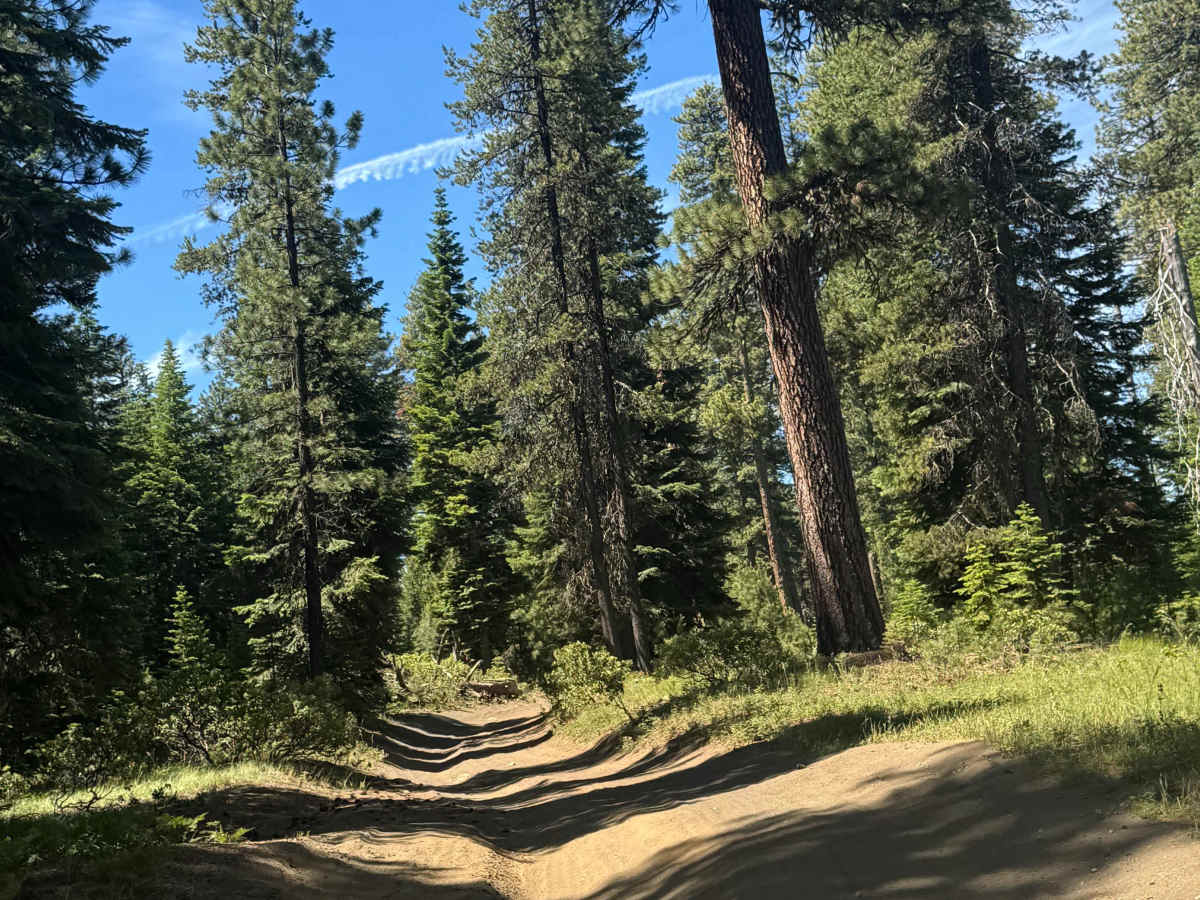 Dugout Lake - FS 1030-350 photo 4