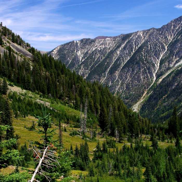 The canyon of the West Fork Wallowa River Near Ice Lake Trail #1808