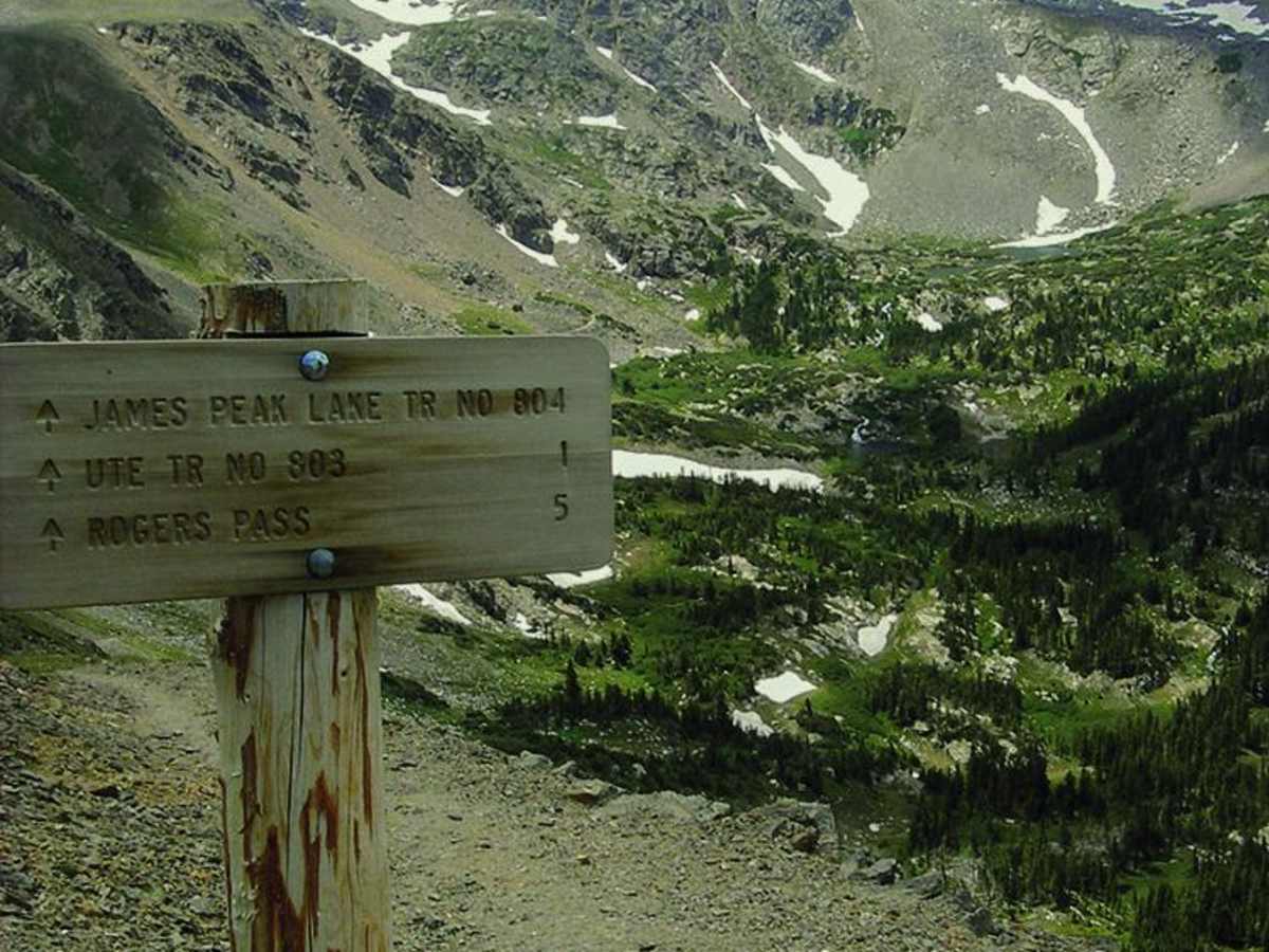 Kingston Peak trail photo
