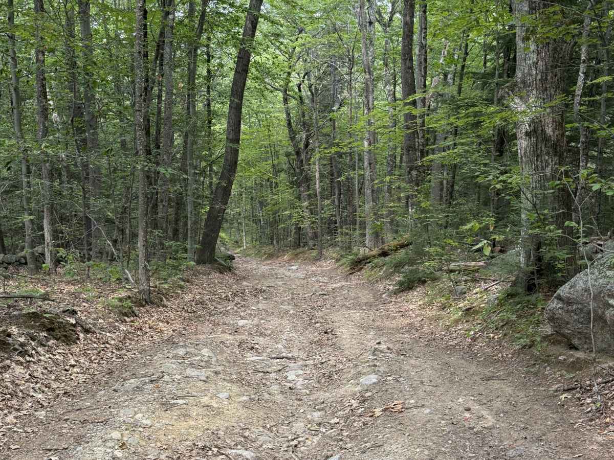 Page Trace Road photo 5