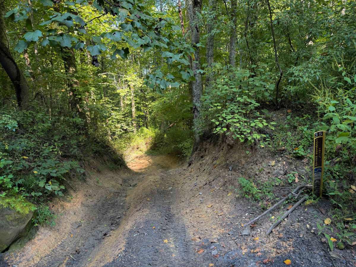 Thompson Hollow 35  photo 5