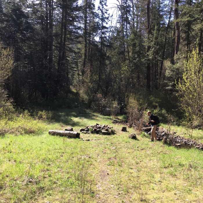 Near West Tiger Creek Trail #3229