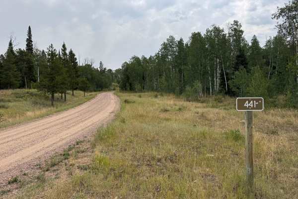 Wapiti Road - FS 441