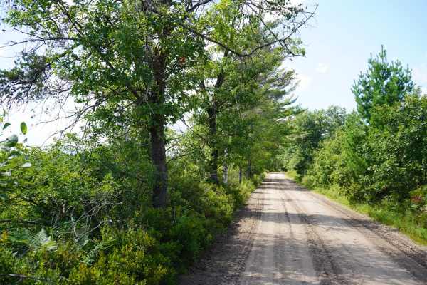 East Fireline Trail