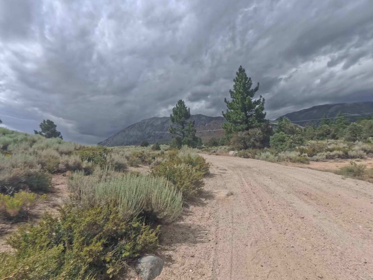 Crowley Lake Drive - FS 4S120 trail photo