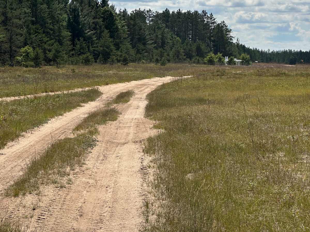 Wilson Spur photo 3