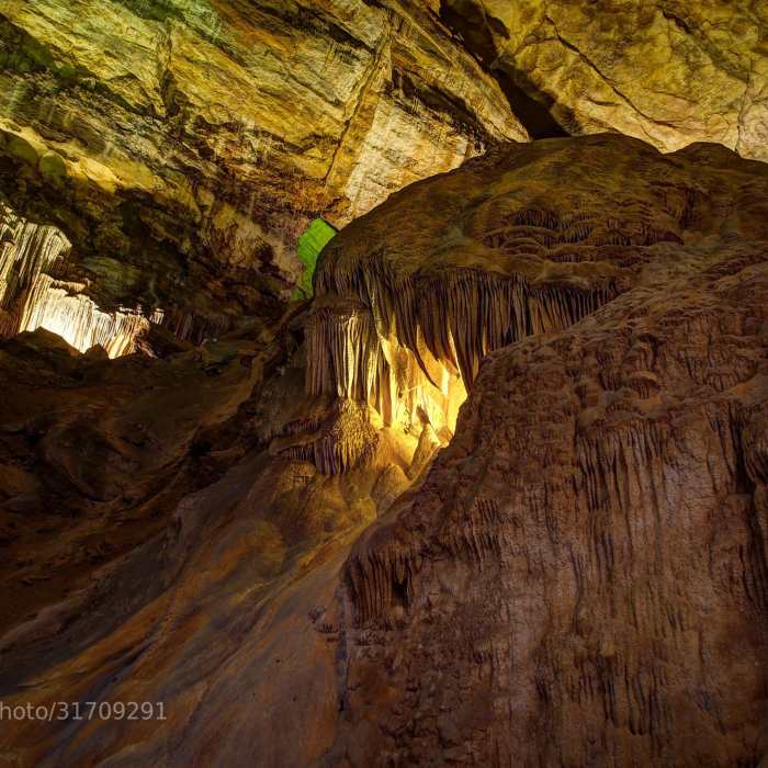 The Whale: Rock formation in Carlsbad Caverns on the way to the Big Room. Near Chihuahuan Desert Nature Trail