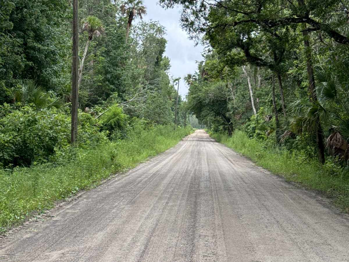 Blue Creek Lodge Road photo 4
