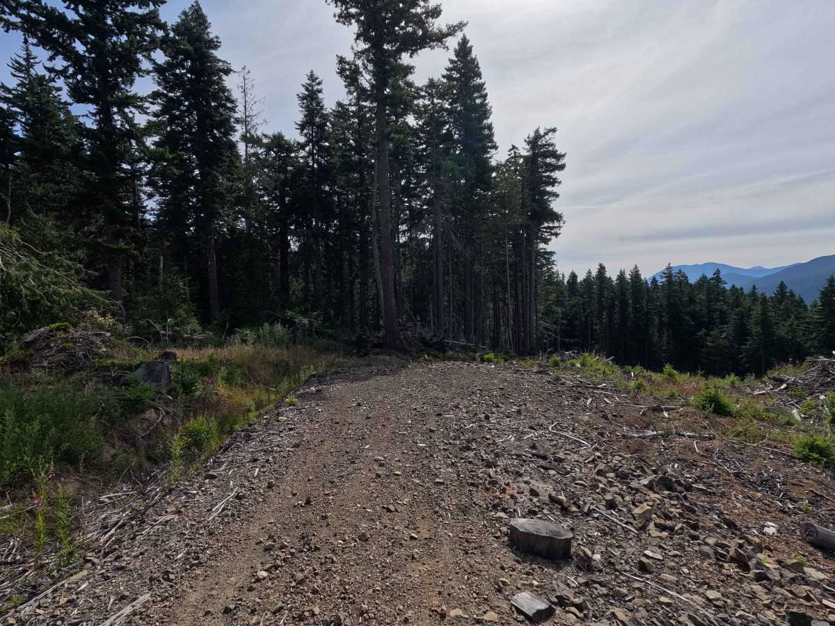 Pa-H-1000 trail photo
