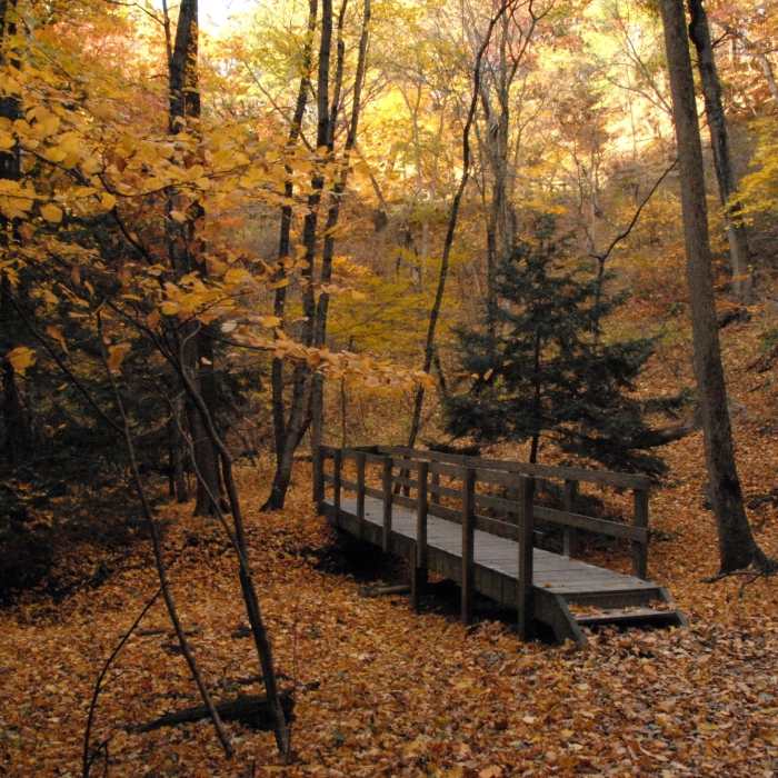 Near Starved Rock Loop