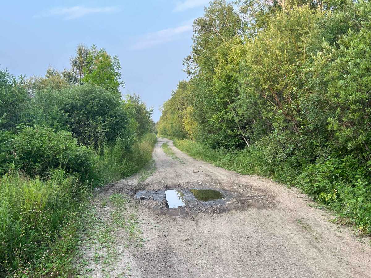 Agassiz Road photo 5