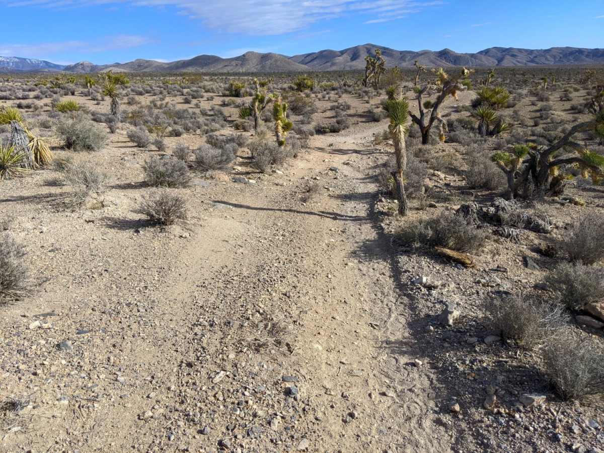 Horse Springs - Sand Wash Cut Across photo 3