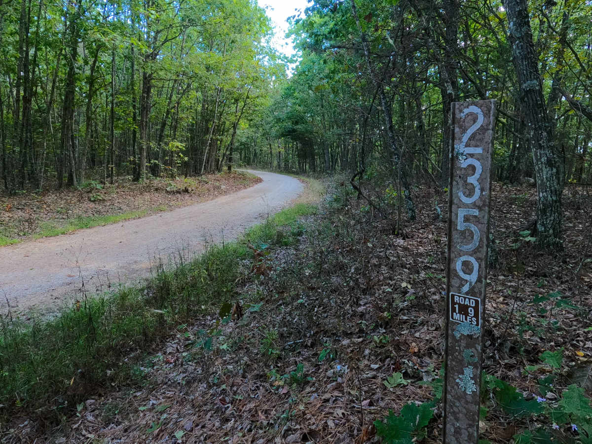 Lindsey Mountain - FS 2359 trail photo