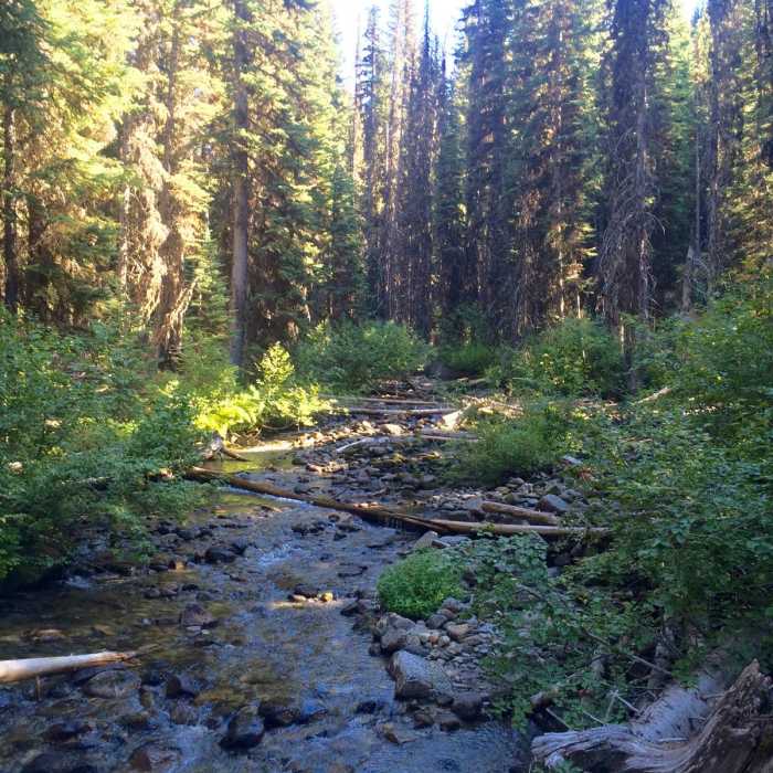 Near Mirror Lake via the East Lostine River Trail