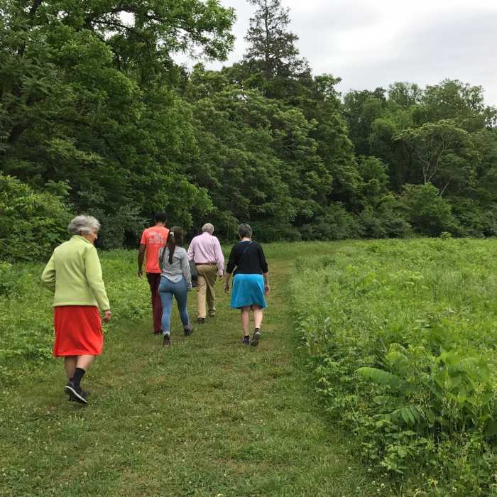 Near Jason Stevens Loop