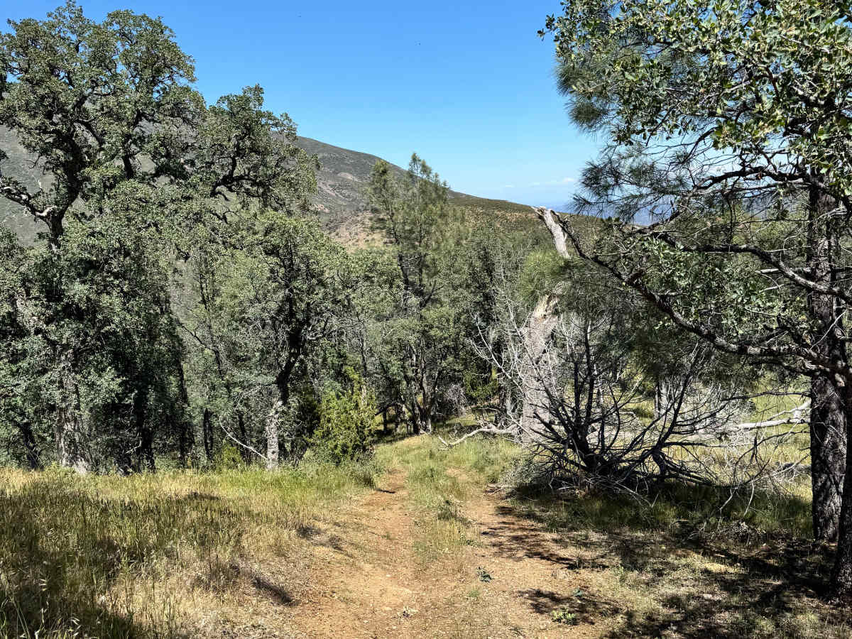 Triplet Butte - 18N02A photo 4