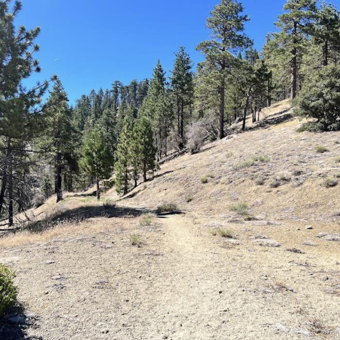 Near Winston Peak and Winston Ridge Loop