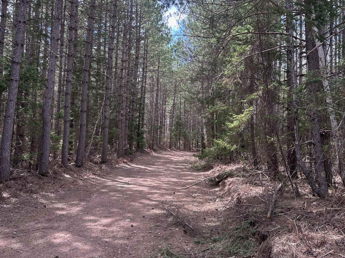 Interstate Trail North photo 6