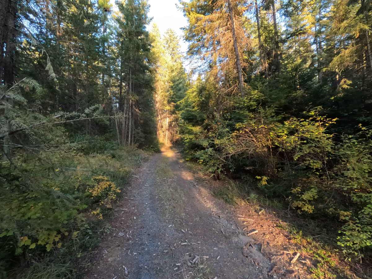 Drummond Creek - FS 9545 photo 5