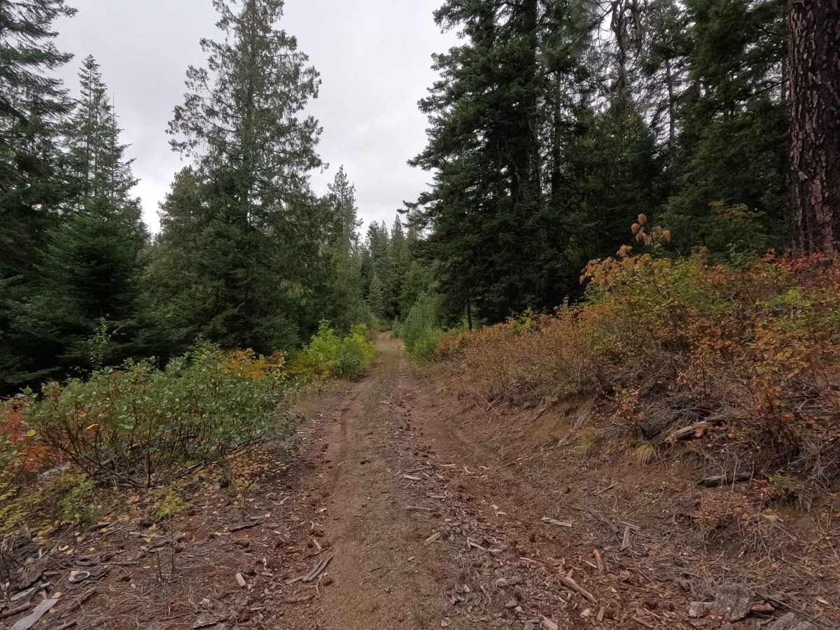 Goose Creek Point - FS 2730B photo 3