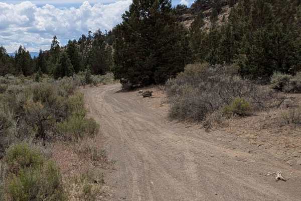 Cline Buttes OHV Trail 23