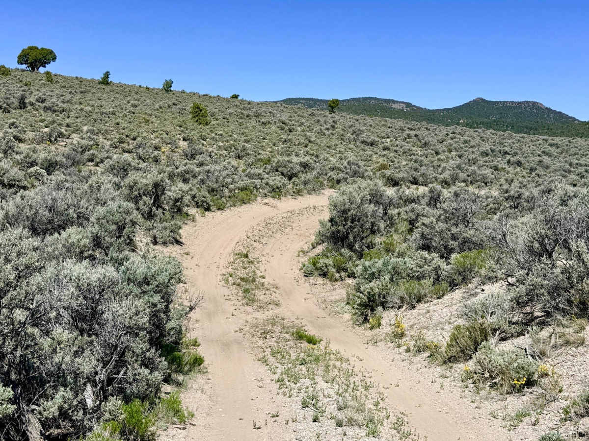 South Brock Canyon - FS 43513 photo 4