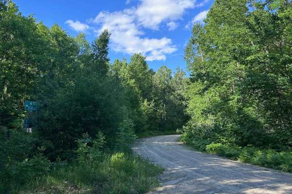 East Gulch Forest Ln