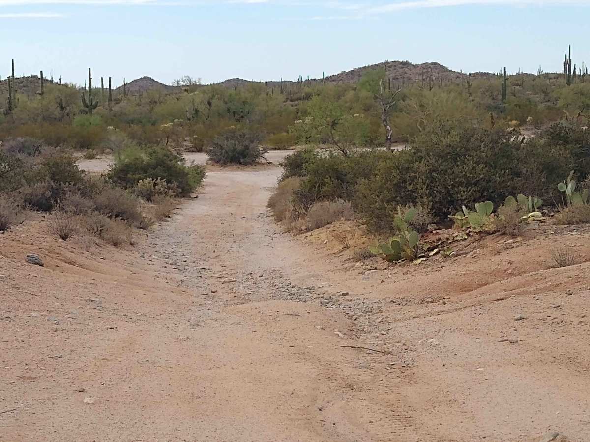 96 Hills Trail photo 3