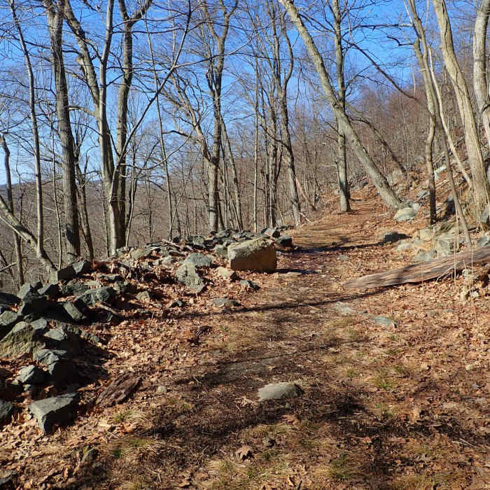 Near Dunderberg, Bald Mountain, and Timp Loop