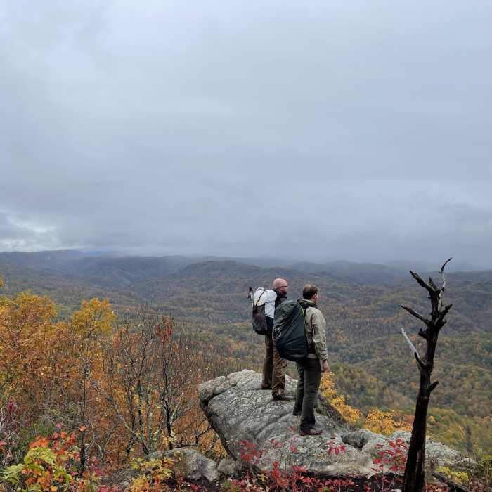 Buzz Work Overlook Near Little Shepherd Trail