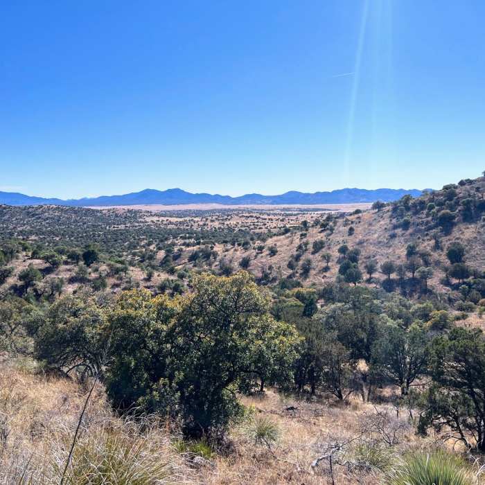 Near Canelo Hills Loop