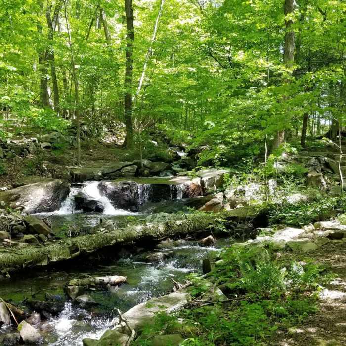 Near Teatown Lake Cliffdale Farm Double Loop