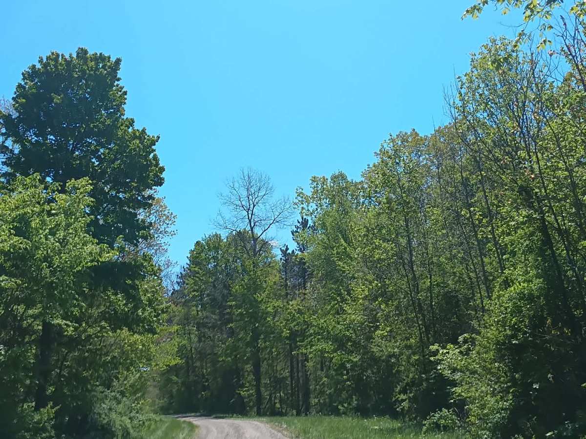 Township Highway NR2 photo 5