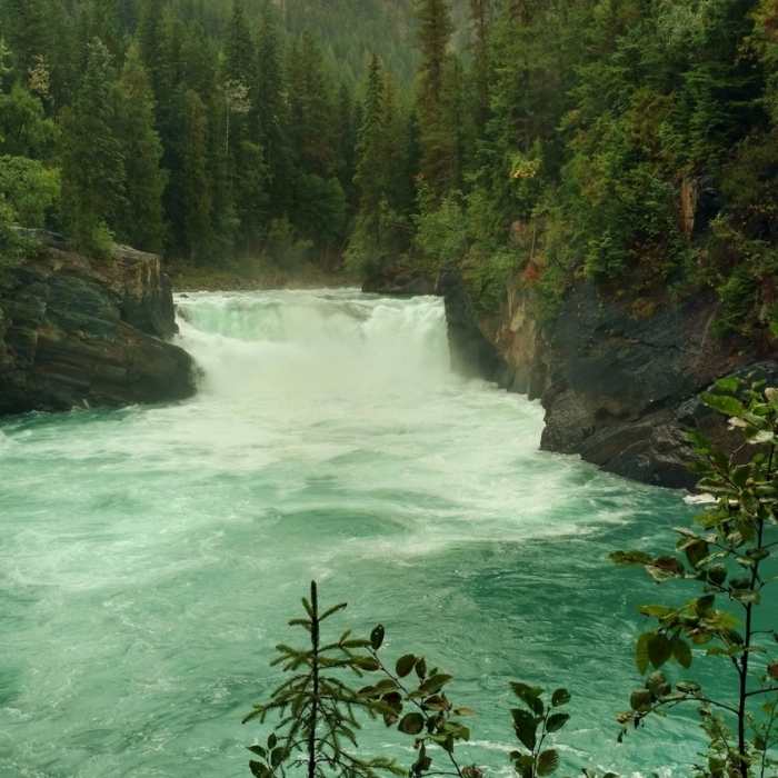 Near Overlander Falls Trail