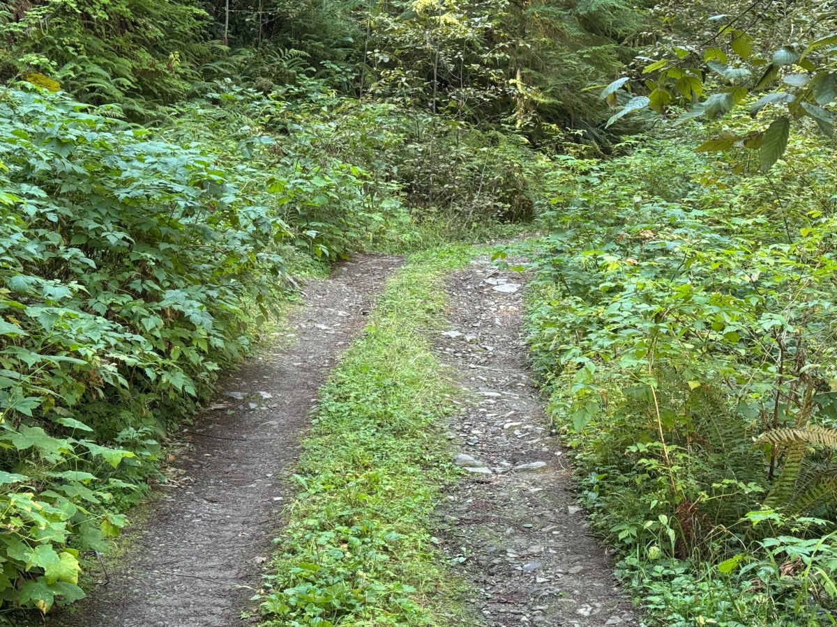 Peekaboo Lake Trail photo 6
