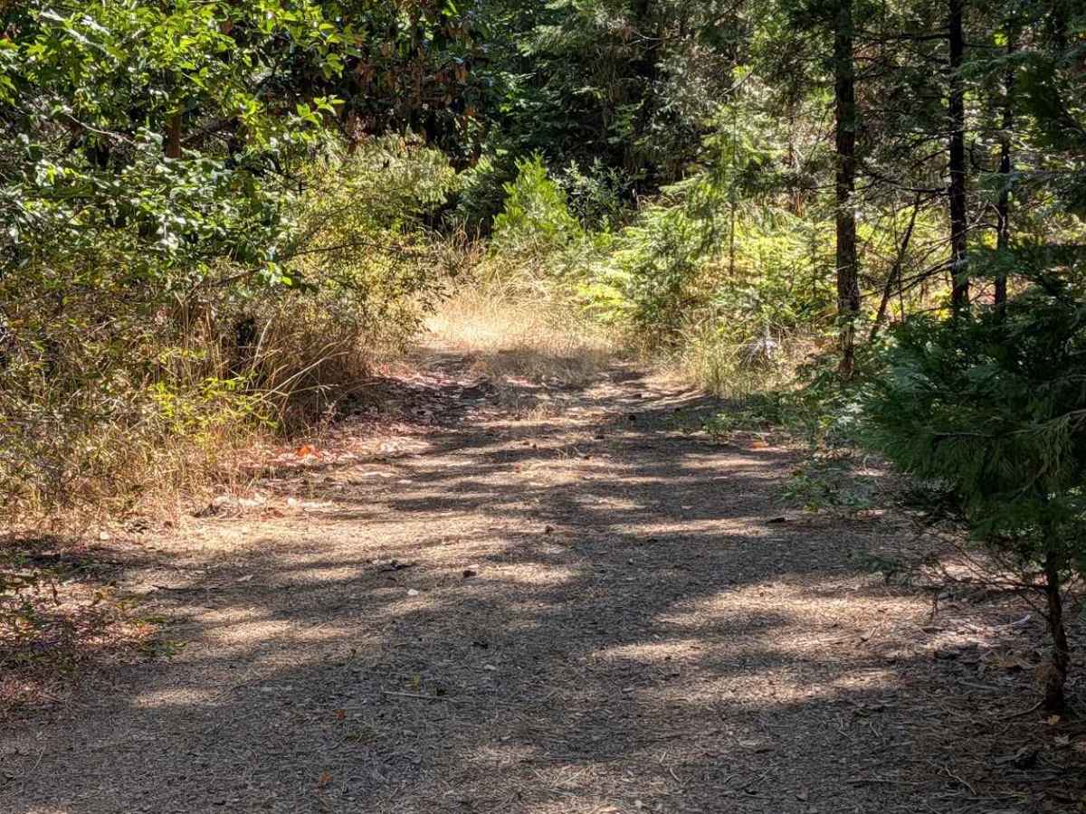 West Duba Road - FS 30N53 photo 5