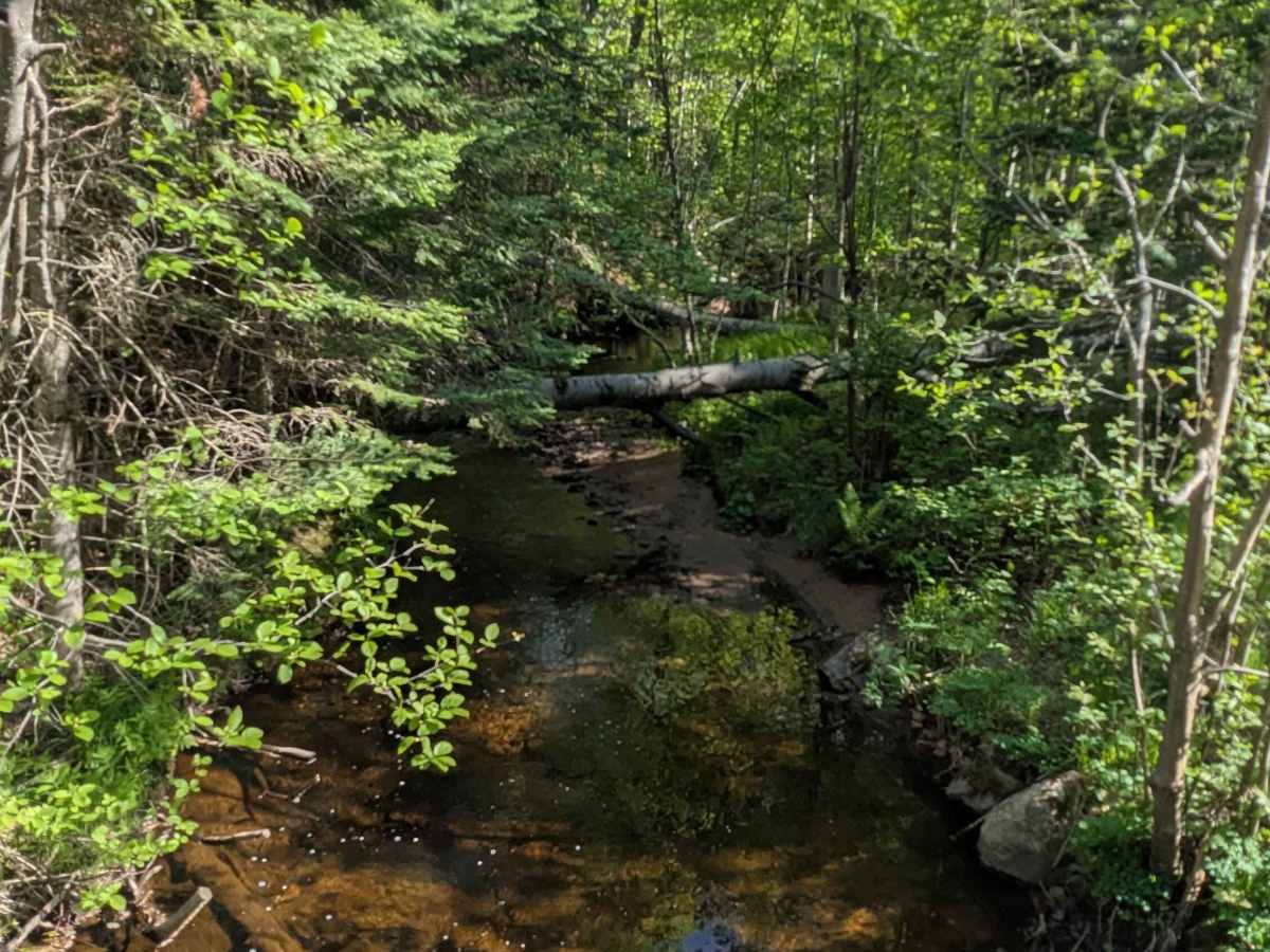 Wilson Truck Trail photo 3